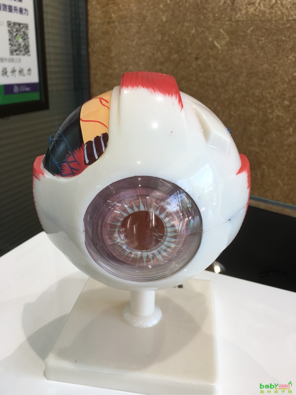 我是小小眼科醫(yī)生，愛(ài)眼初體驗(yàn)~