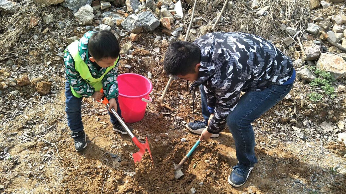 3月11日植樹節(jié)主題親子活動