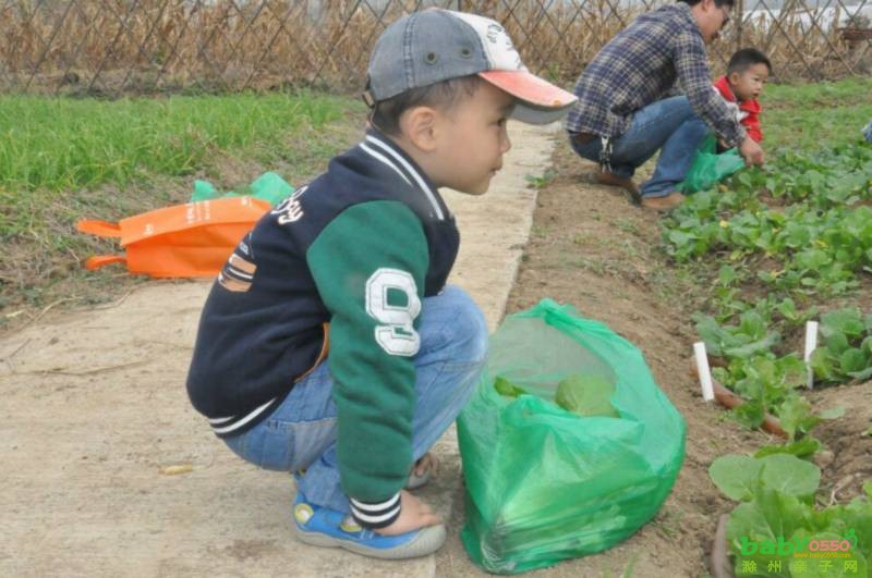 幸福媽媽的帶娃回憶錄之 ---金鵬農(nóng)莊親子采摘日